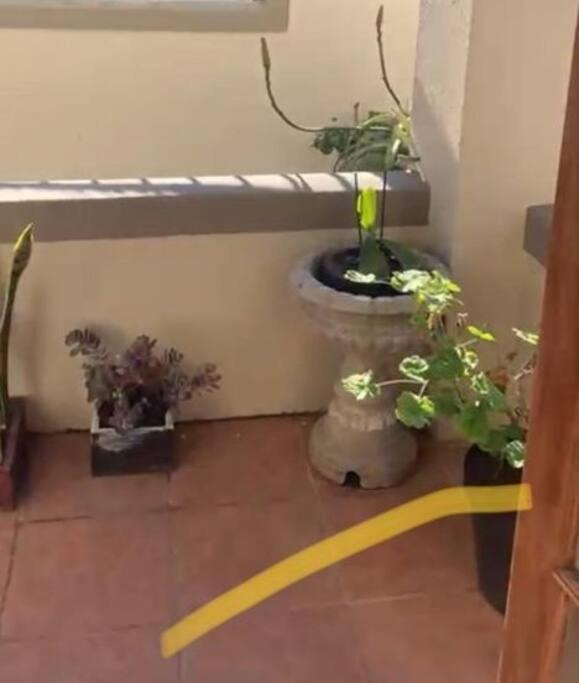 1-Bedroom Sea Point Gem - Perfect Location! Cape Town Ngoại thất bức ảnh